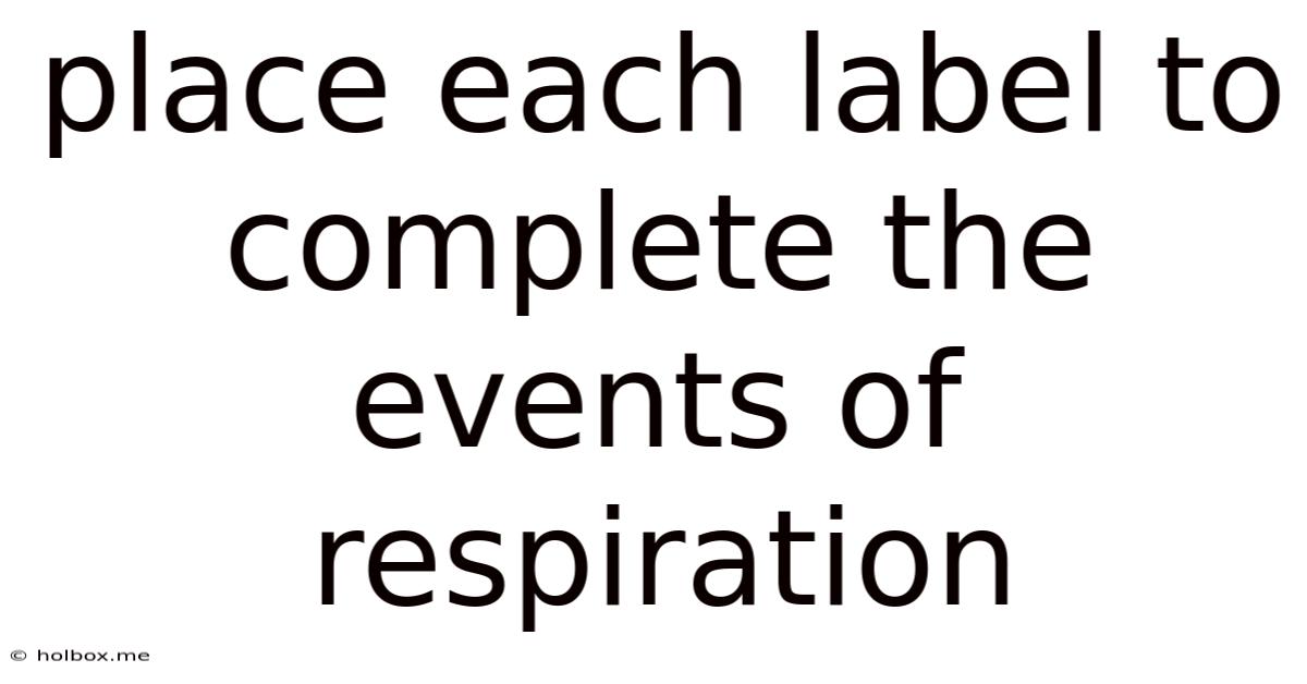 Place Each Label To Complete The Events Of Respiration