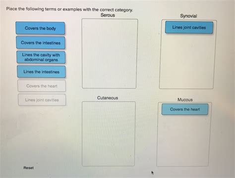 Place The Following Terms Or Examples With The Correct Category.