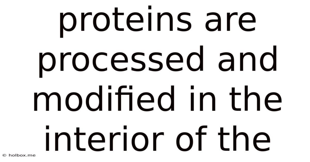 Proteins Are Processed And Modified In The Interior Of The