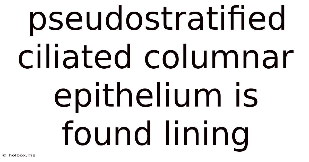 Pseudostratified Ciliated Columnar Epithelium Is Found Lining