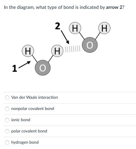 Question Madison Select The Type Of Bond