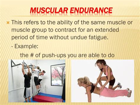 Refers To The Muscles Ability To Be Stretched Or Extended.