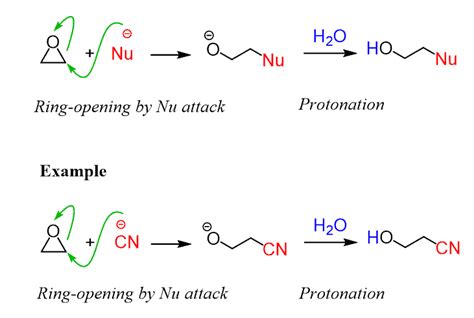 Ring Opening Arrow Pushing Mechanism Under Basic Conditions