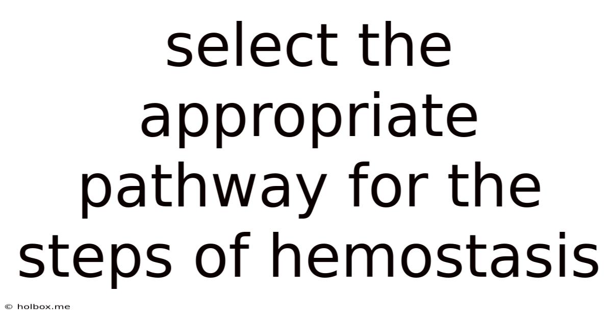 Select The Appropriate Pathway For The Steps Of Hemostasis