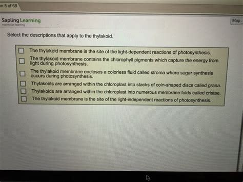 Select The Descriptions That Apply To The Thylakoid