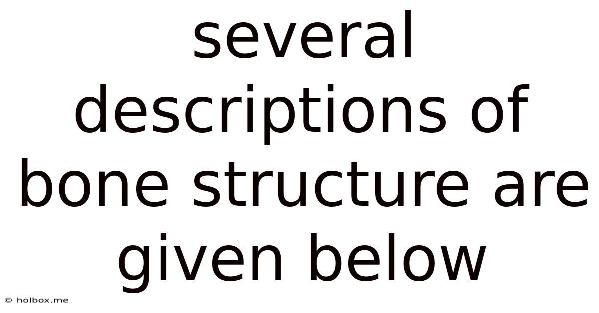 Several Descriptions Of Bone Structure Are Given Below
