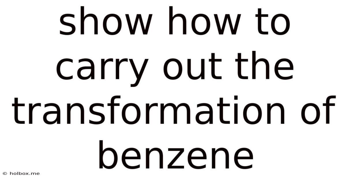 Show How To Carry Out The Transformation Of Benzene