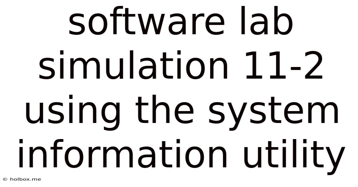 Software Lab Simulation 11-2 Using The System Information Utility