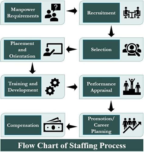 Staffing Appraising Compensation And Training And Development Are Types Of