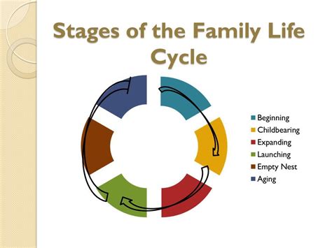 Stages Of A Family Life Cycle