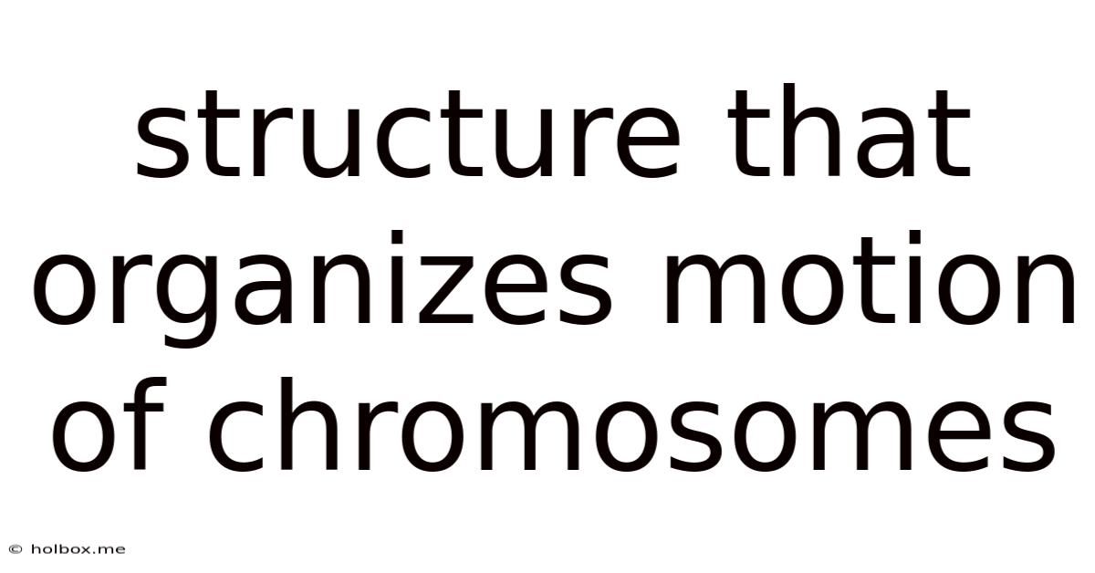 Structure That Organizes Motion Of Chromosomes