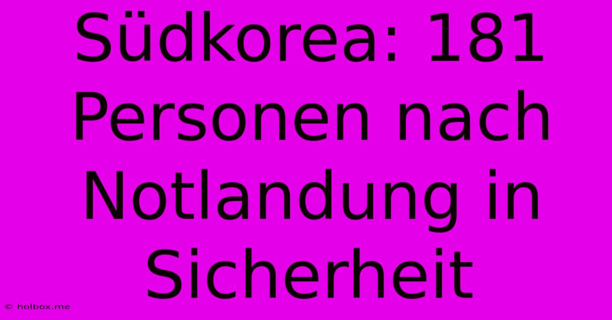 Südkorea: 181 Personen Nach Notlandung In Sicherheit