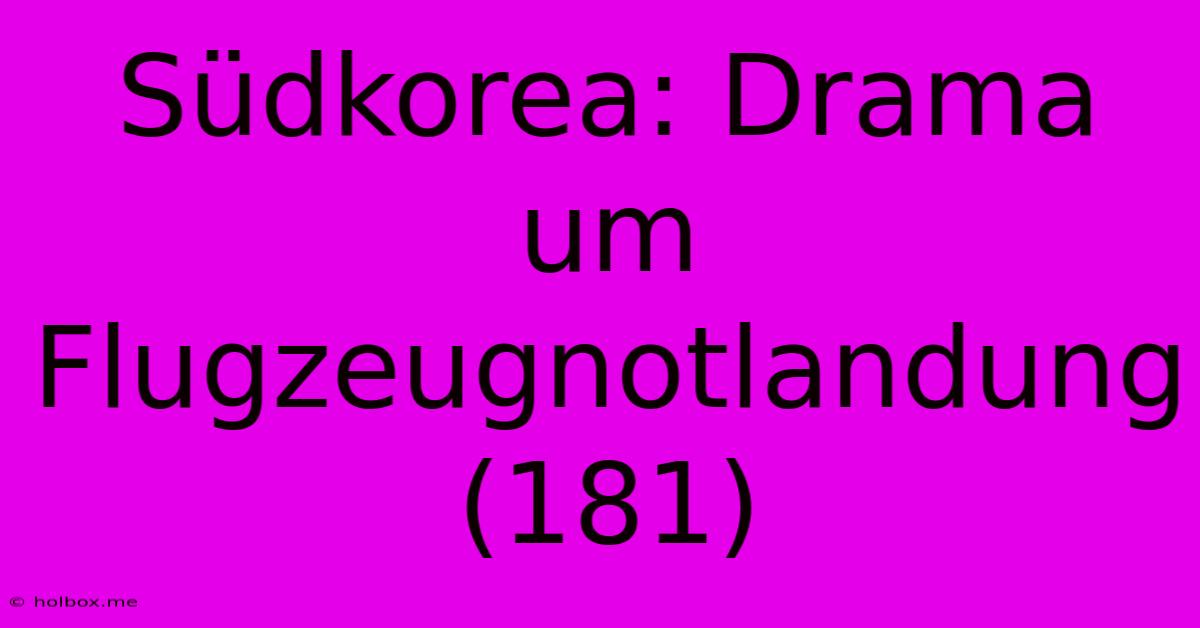 Südkorea: Drama Um Flugzeugnotlandung (181)