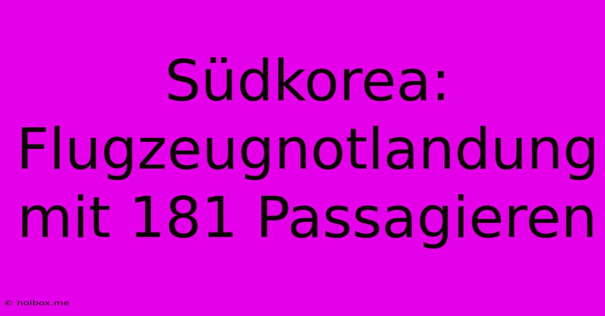 Südkorea: Flugzeugnotlandung Mit 181 Passagieren