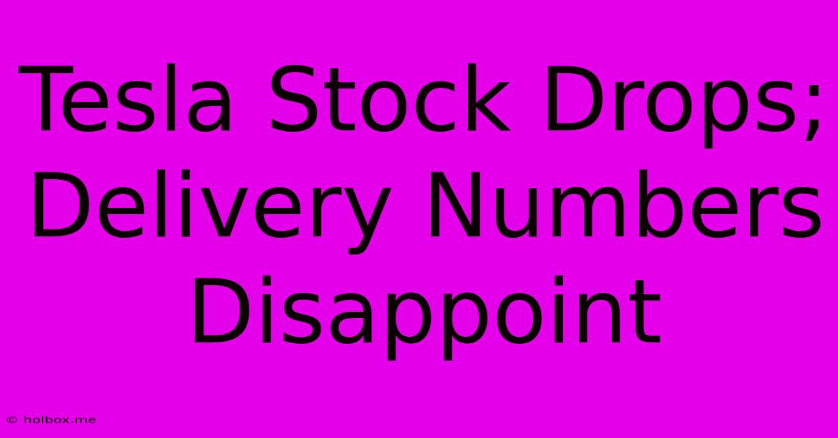 Tesla Stock Drops; Delivery Numbers Disappoint