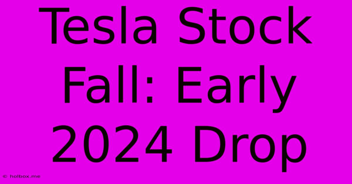 Tesla Stock Fall: Early 2024 Drop