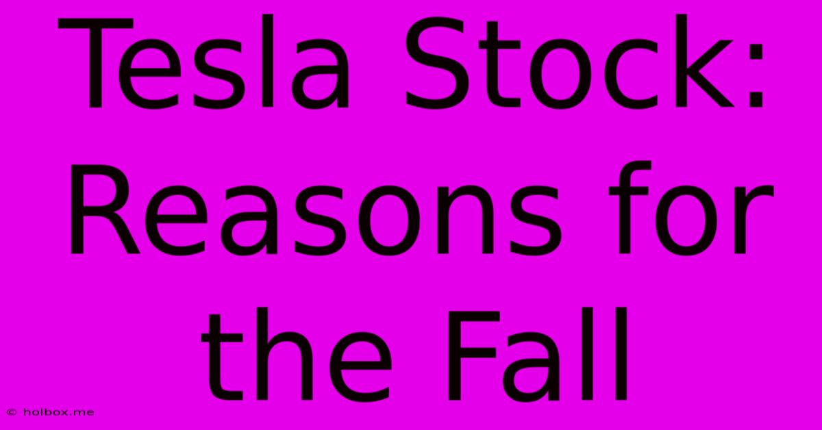 Tesla Stock: Reasons For The Fall