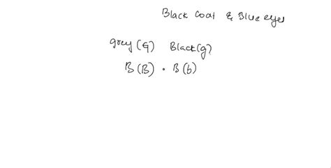 The Allele For Black Noses In Wolves Is Dominant