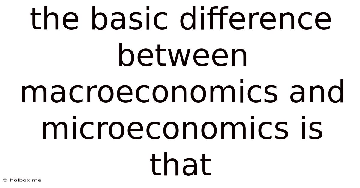 The Basic Difference Between Macroeconomics And Microeconomics Is That