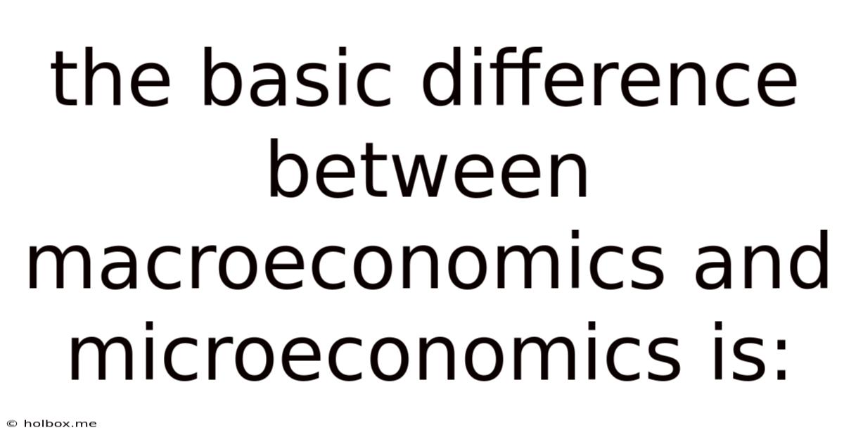 The Basic Difference Between Macroeconomics And Microeconomics Is: