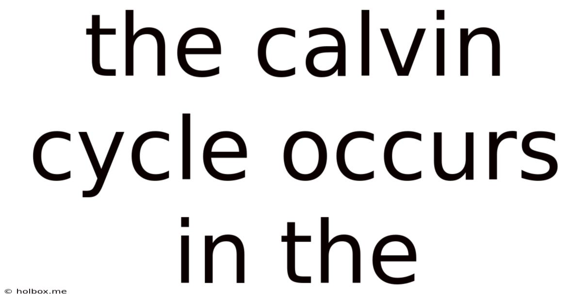 The Calvin Cycle Occurs In The