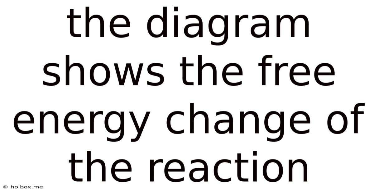 The Diagram Shows The Free Energy Change Of The Reaction