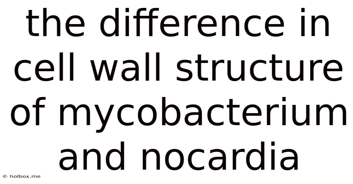 The Difference In Cell Wall Structure Of Mycobacterium And Nocardia
