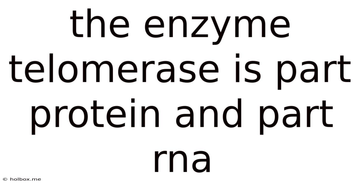 The Enzyme Telomerase Is Part Protein And Part Rna