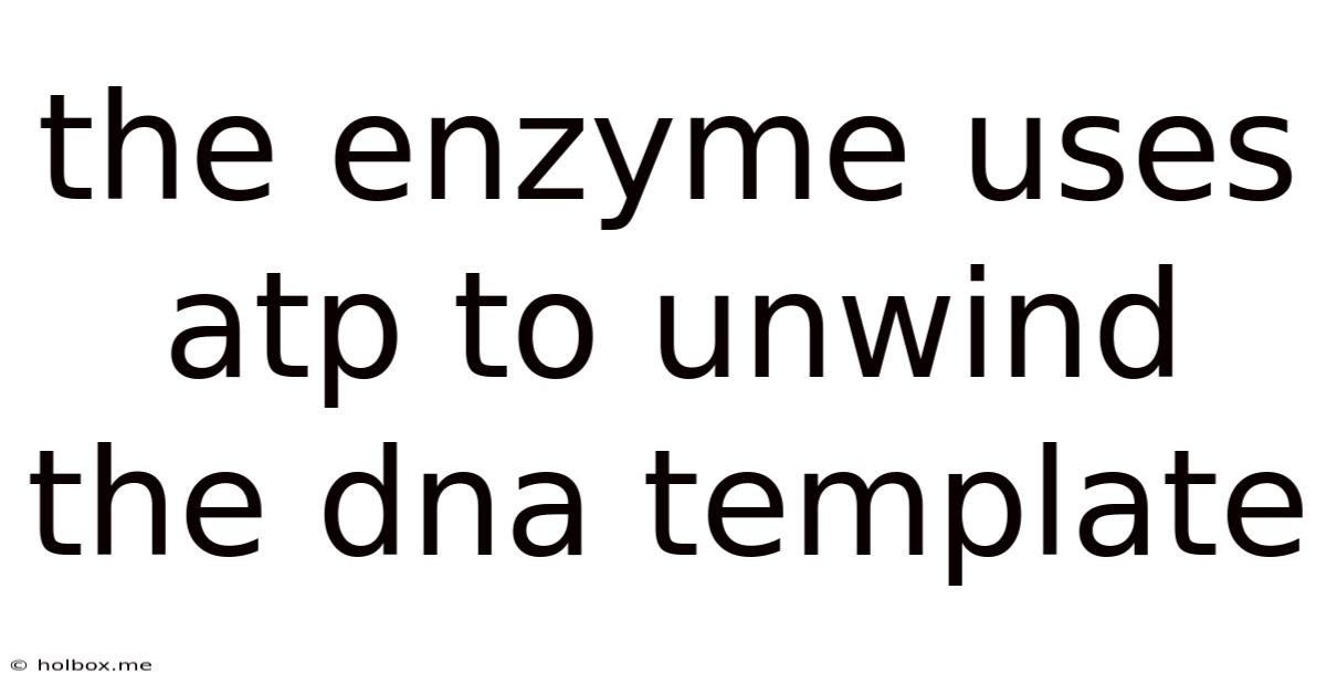 The Enzyme Uses Atp To Unwind The Dna Template