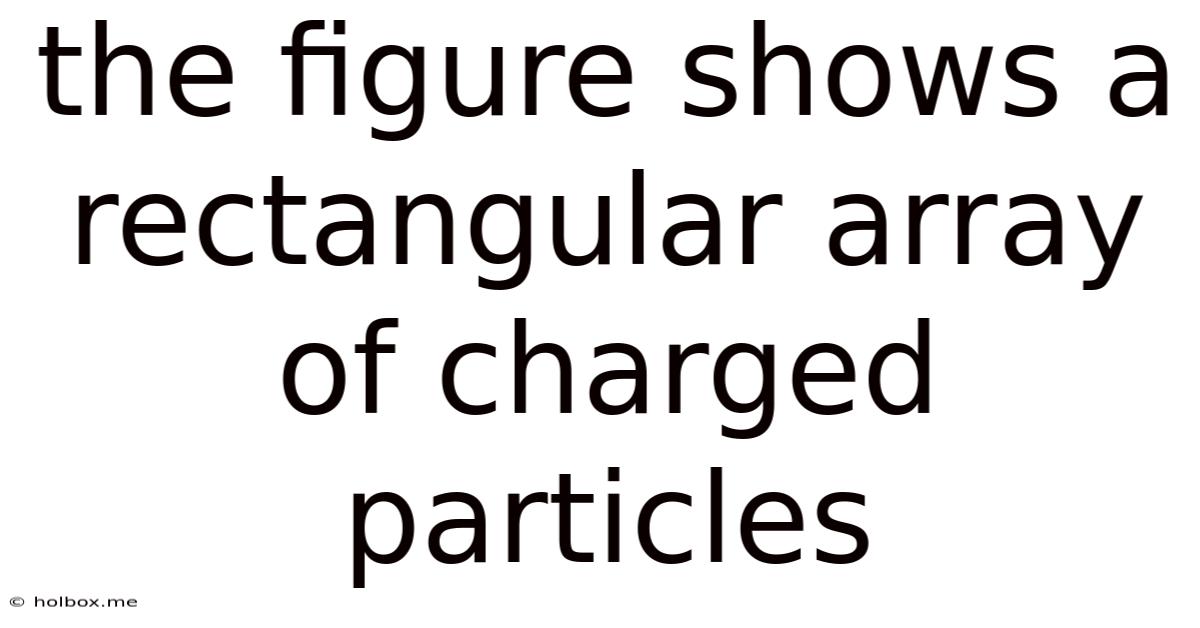 The Figure Shows A Rectangular Array Of Charged Particles