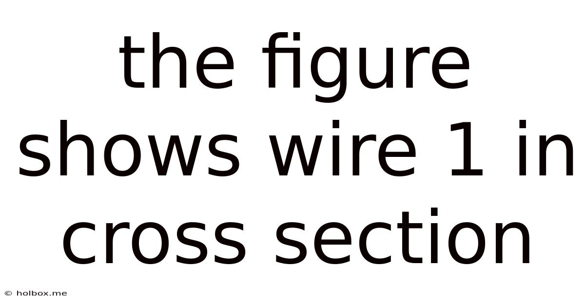 The Figure Shows Wire 1 In Cross Section