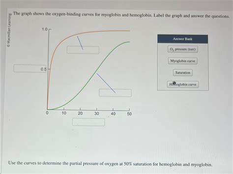 The Graph Shows The Oxygen-binding Curves For Myoglobin And Hemoglobin