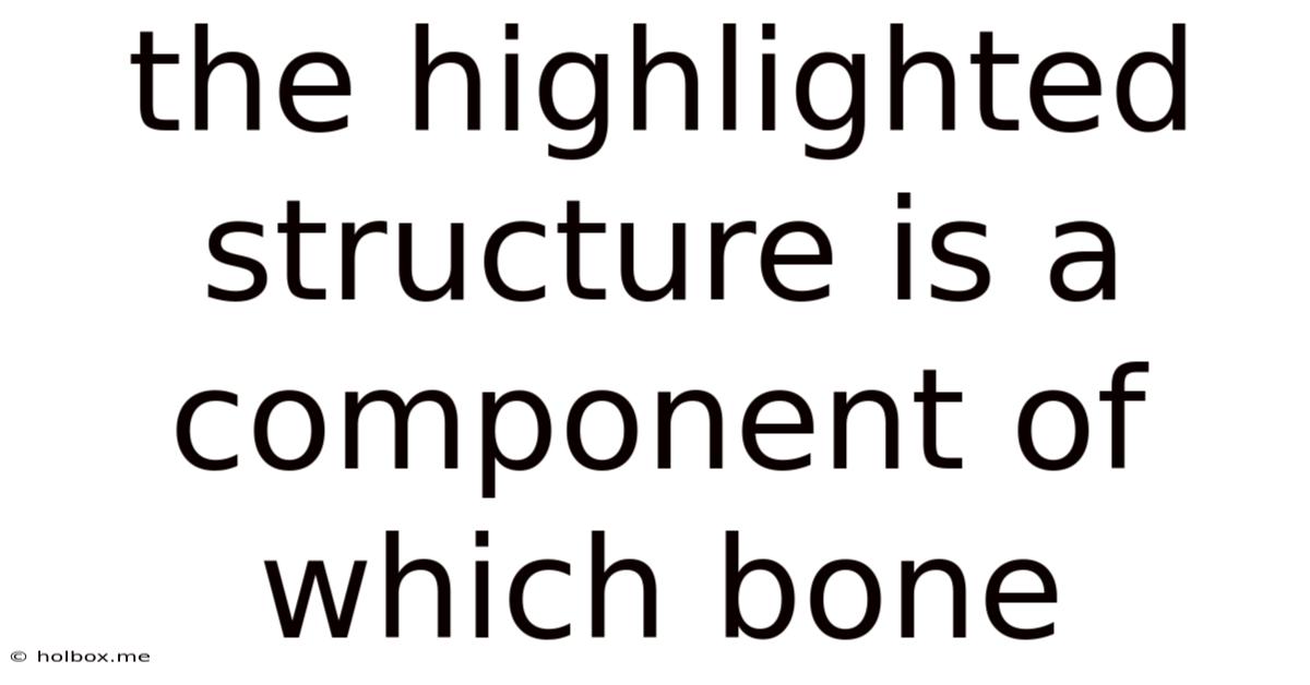 The Highlighted Structure Is A Component Of Which Bone