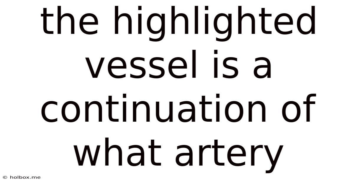 The Highlighted Vessel Is A Continuation Of What Artery
