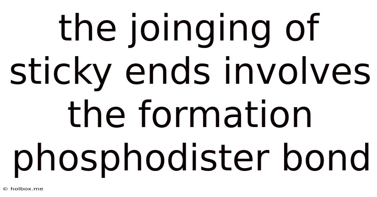 The Joinging Of Sticky Ends Involves The Formation Phosphodister Bond