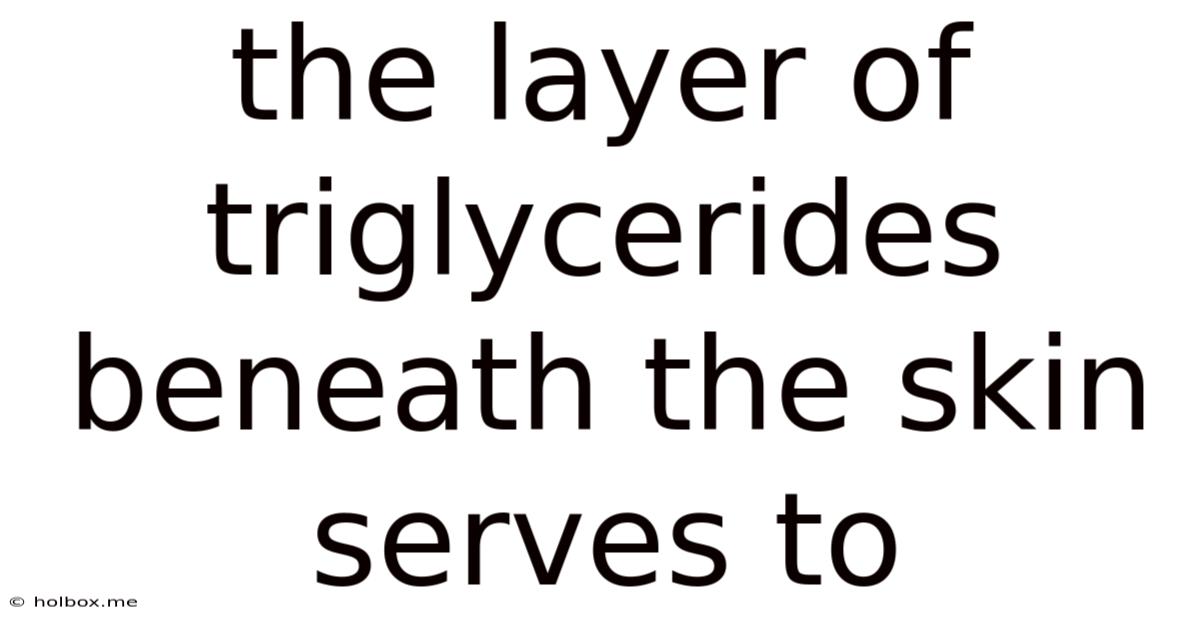 The Layer Of Triglycerides Beneath The Skin Serves To