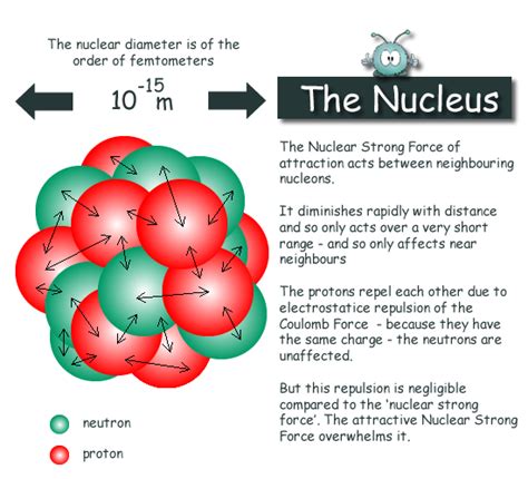 The Nucleus Of An Atom Contains