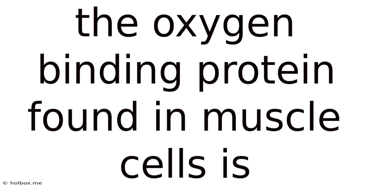 The Oxygen Binding Protein Found In Muscle Cells Is