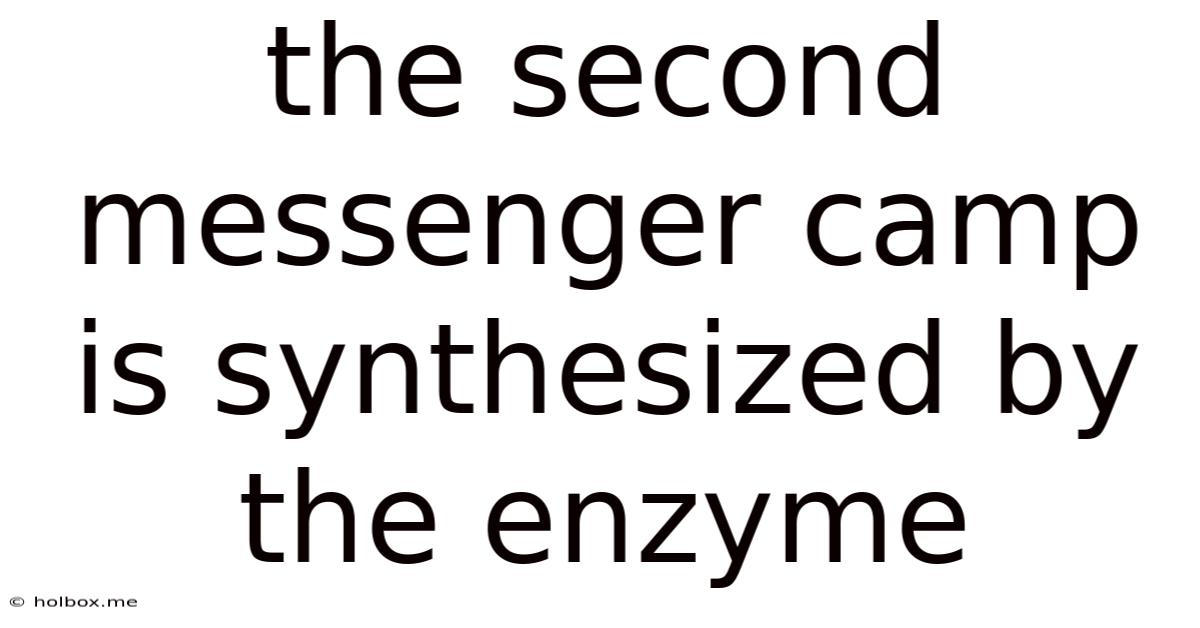 The Second Messenger Camp Is Synthesized By The Enzyme