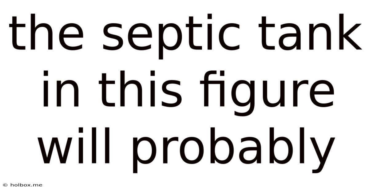 The Septic Tank In This Figure Will Probably