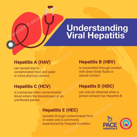 The Viral Infection Hepatitis A Can Be Most Effectively