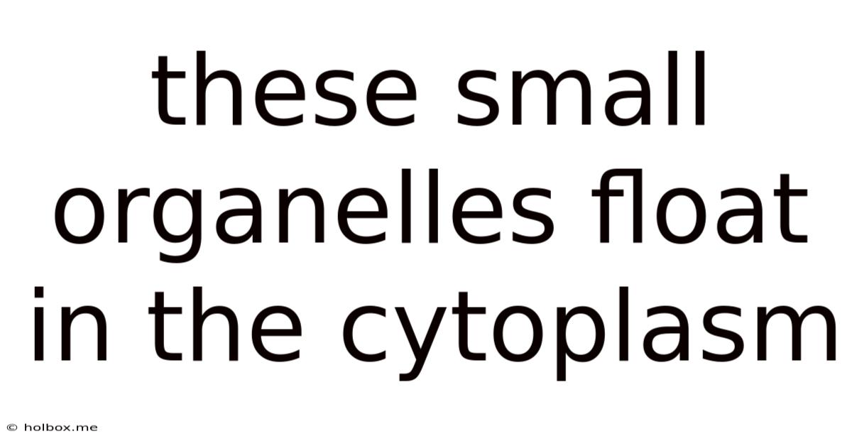 These Small Organelles Float In The Cytoplasm