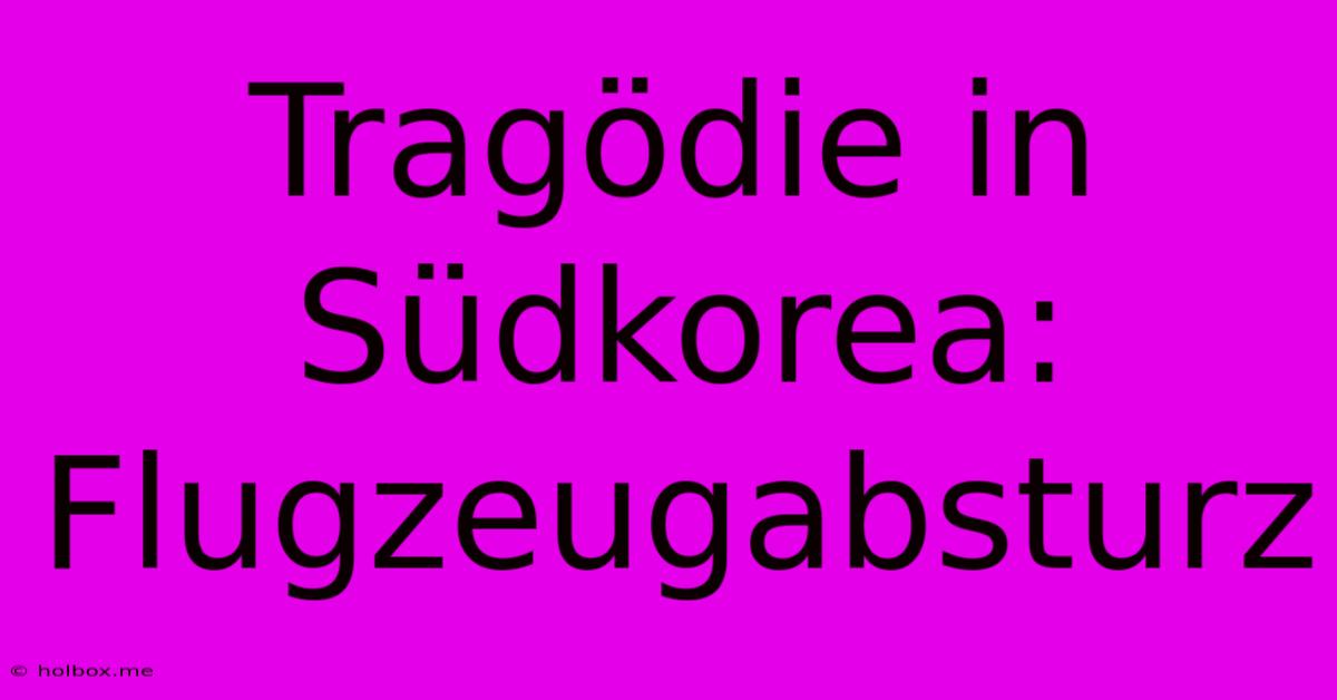 Tragödie In Südkorea: Flugzeugabsturz