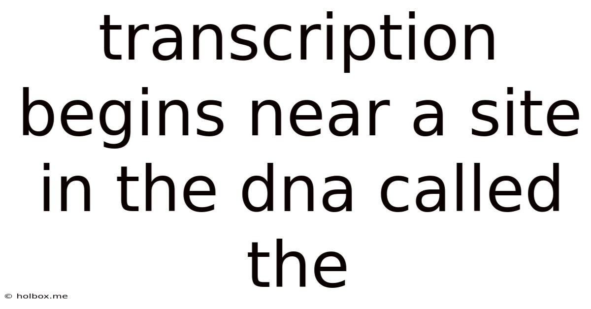 Transcription Begins Near A Site In The Dna Called The