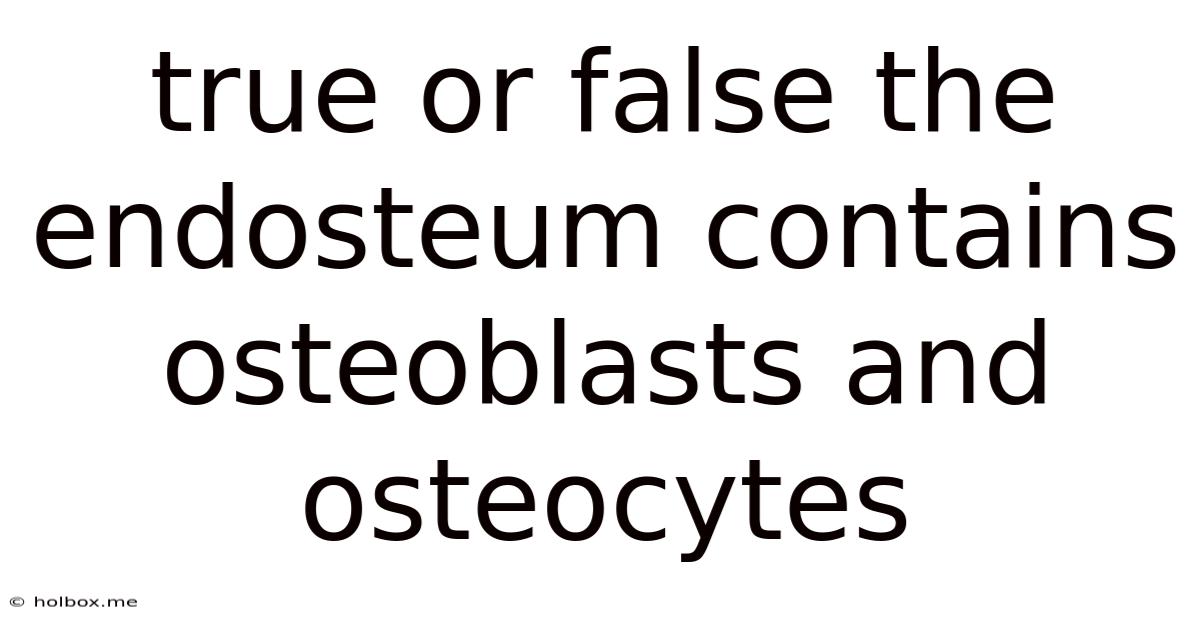 True Or False The Endosteum Contains Osteoblasts And Osteocytes