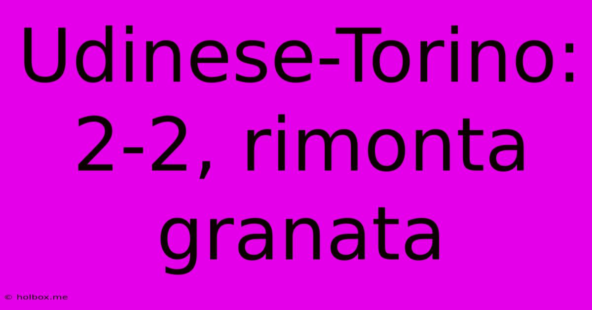 Udinese-Torino: 2-2, Rimonta Granata