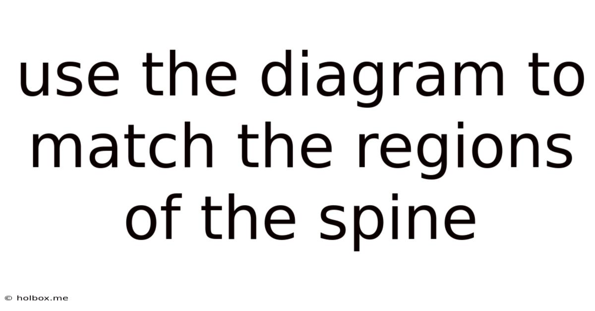 Use The Diagram To Match The Regions Of The Spine