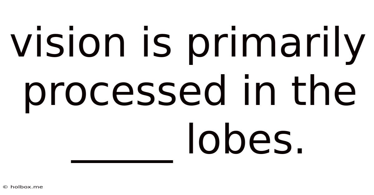 Vision Is Primarily Processed In The _____ Lobes.