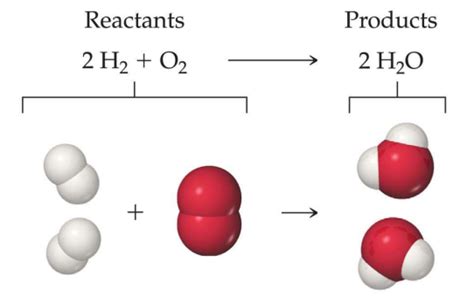 Water Is Always A Product In What Type Of Reaction