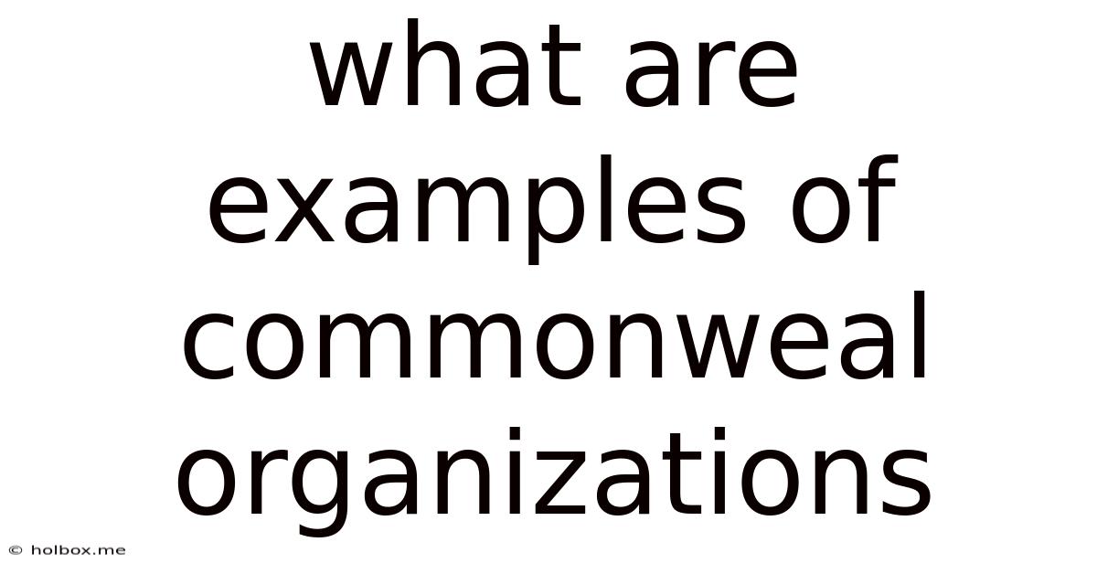 What Are Examples Of Commonweal Organizations